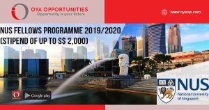 NUS Fellows Programme 2019/2020 (stipend of up to S$ 2,000)
