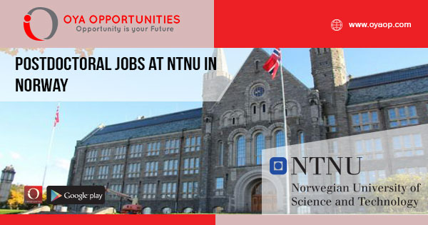 Postdoctoral Jobs at NTNU in Norway