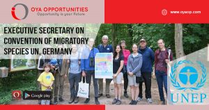 UN Jobs in Bonn