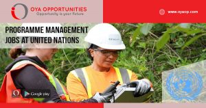 Programme Management Jobs at United Nations, Canada