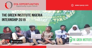 The Green Institute Nigeria Internship 2019