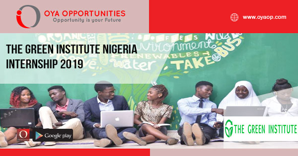 The Green Institute Nigeria Internship 2019