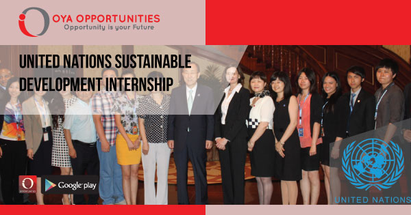 United Nations Sustainable Development Internship