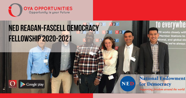 NED Reagan-Fascell Democracy Fellowship 2020-2021
