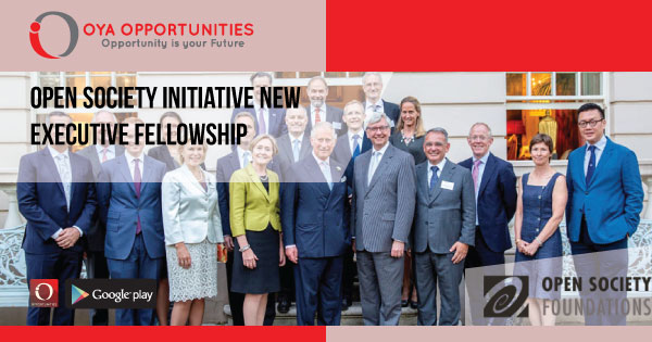 Open Society Initiative New Executive Fellowship