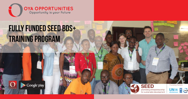 Fully Funded SEED BDS+ Training Program