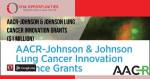 AACR-Johnson & Johnson Lung Cancer Innovation Grants ($1 Million)