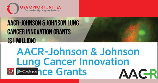 AACR-Johnson & Johnson Lung Cancer Innovation Grants ($1 Million)