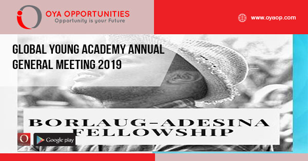 Borlaug-Adesina Fellowship Program 2019