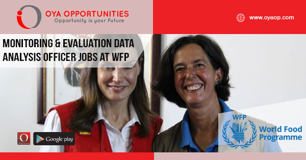 Data Analysis Jobs at WFP, Mali
