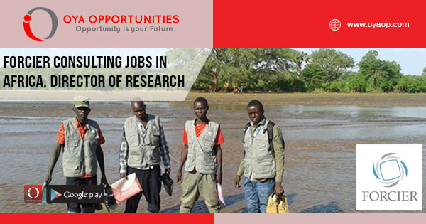 Forcier Consulting jobs in Africa