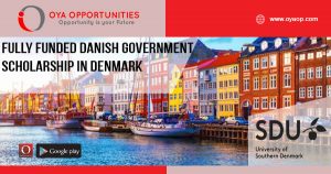Fully Funded Danish Government Scholarship in Denmark