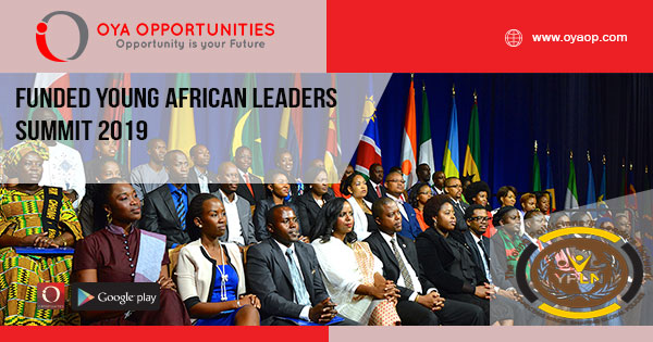 Funded Young African Leaders Summit 2019