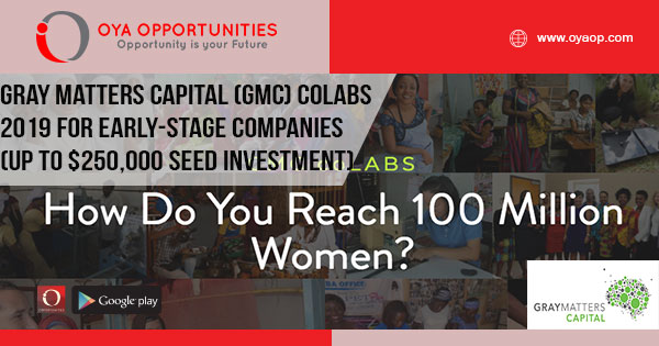 Gray Matters Capital (GMC) coLABS 2019 for early-stage companies (up to $250,000 in seed investment capital)