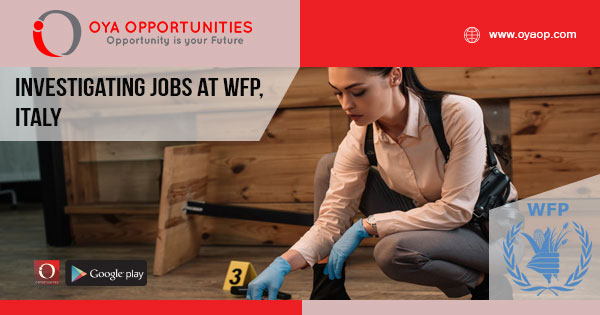 Investigating jobs at WFP, Italy