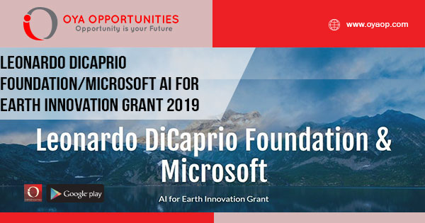 Leonardo DiCaprio Foundation/Microsoft AI for Earth Innovation Grant 2019