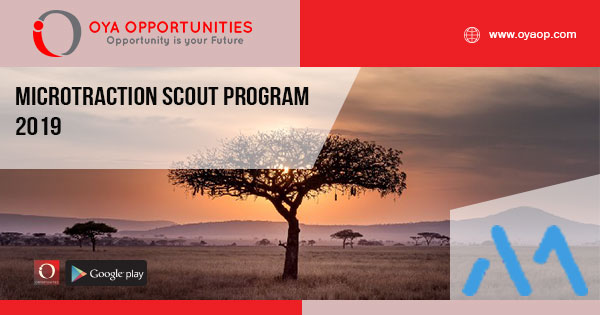 Microtraction Scout Program 2019