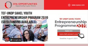 TEF-UNDP-Sahel-Youth-Entrepreneurship-Program-2019-(Seed-Funding-available)