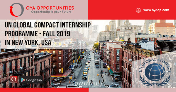 UN Global Compact Internship Programme - Fall 2019 in New York, USA