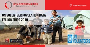 UN Volunteer Population Data Fellowships 2019