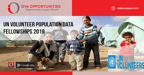 UN Volunteer Population Data Fellowships 2019