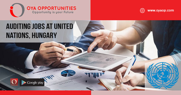 Audit jobs at United Nations, Hungary