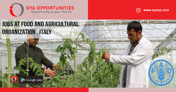 Gas Analyst jobs at FAO, Italy