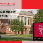 Teaching jobs at Molloy College, New York