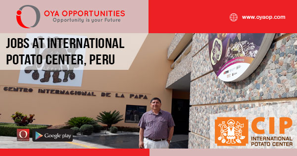 Jobs at International Potato Center, Peru