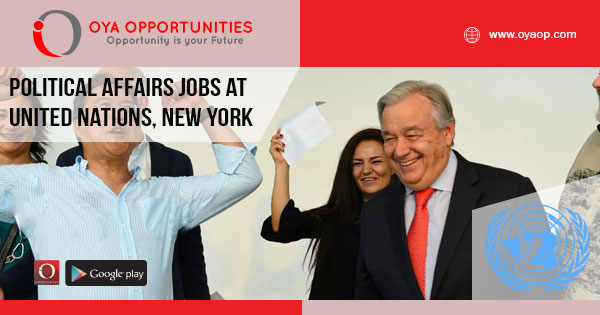 Political Affairs josb at UN (United Nations), New York