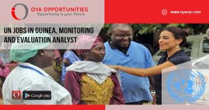 UN jobs in Guinea, Monitoring and Evaluation Analyst