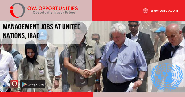 Management jobs at UN, Iraq
