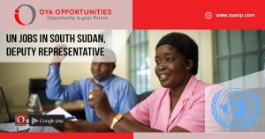 UN jobs in South Sudan, Deputy Representative