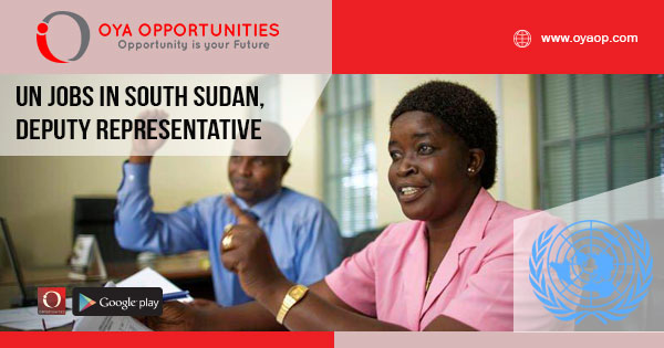 UN jobs in South Sudan, Deputy Representative