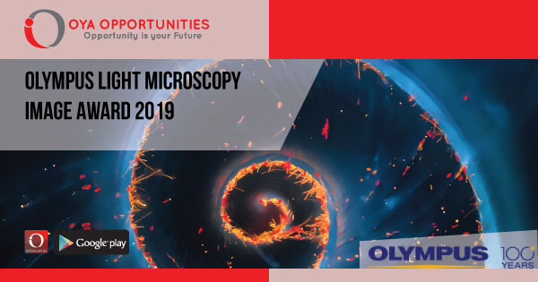 Olympus Light Microscopy Image Award 2019