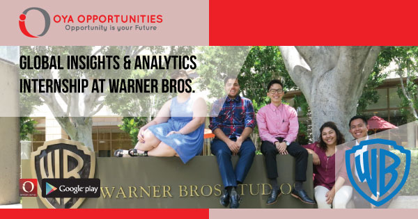 Global Insights & Analytics Internship at Warner Bros.