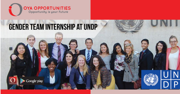 Gender Team Internship at UNDP