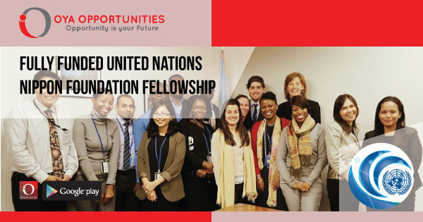 Fully Funded United Nations Nippon Foundation Fellowship