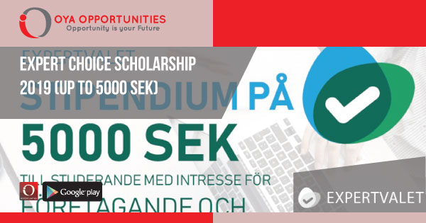 Expert Choice Scholarship 2019 (Up to 5000 SEK)