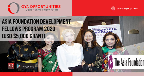 Asia Foundation Development Fellows Program 2020 (USD $5,000 grant)