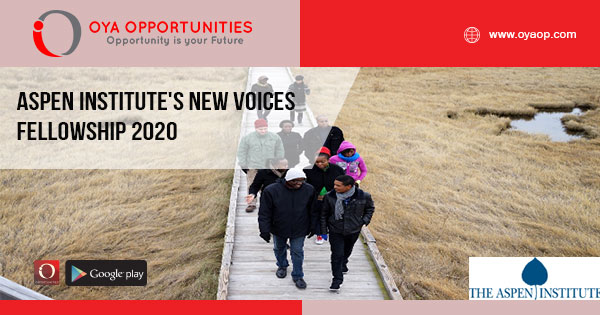 Aspen Institute's New Voices Fellowship 2020
