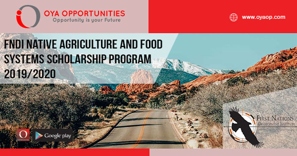 FNDI Native Agriculture and Food Systems Scholarship Program 2019/2020