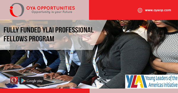 Fully Funded YLAI Professional Fellows Program