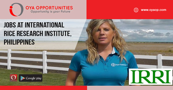 Jobs at International Rice Research Institute