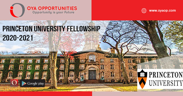 Princeton University Fellowship 2020-2021