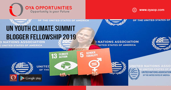UN Youth Climate Summit Blogger Fellowship 2019