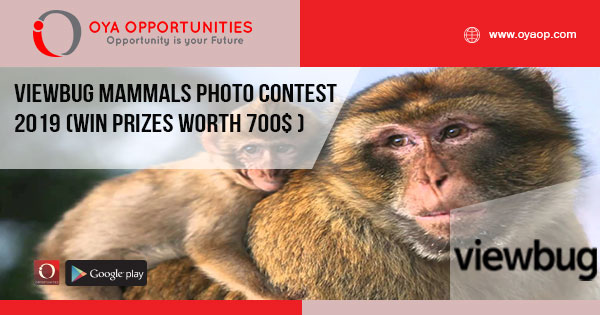 Viewbug Mammals Photo Contest 2019 (win prizes worth 700$ )