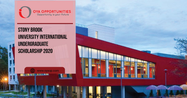 Stony Brook University International Undergraduate Scholarship 2020