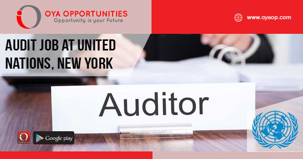 Audit job at United Nations, New York