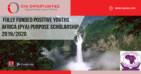 Fully Funded Positive Youths Africa (PYA) Purpose Scholarship 2019/2020